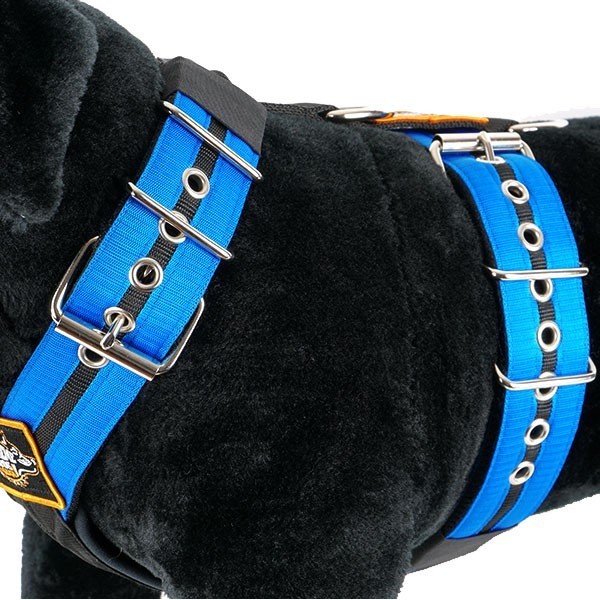Custom Dog Sport harness Double Stripe Blue Extreme Dog Gear